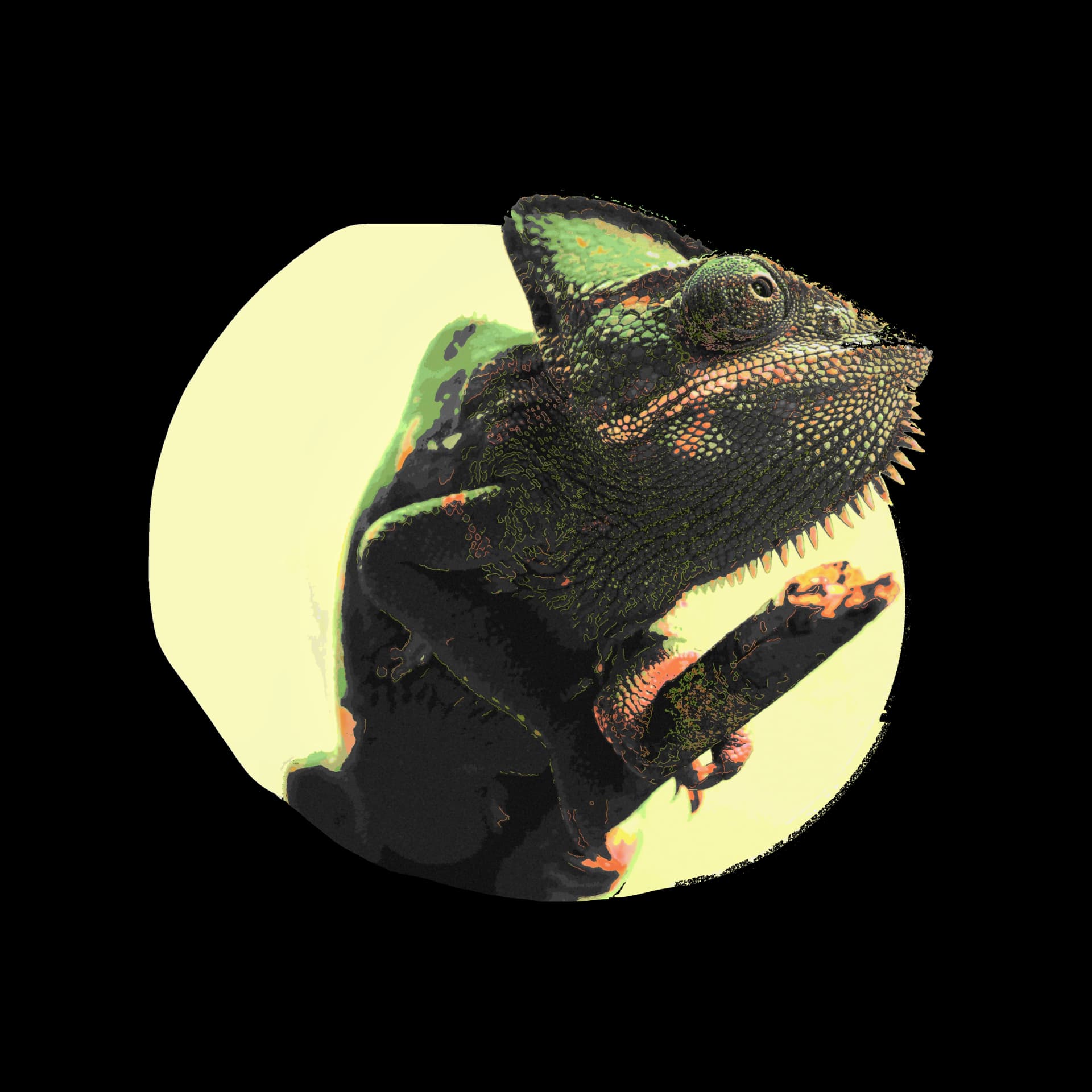 Transparent subject cutout for compositing tests and clean alpha-edge review