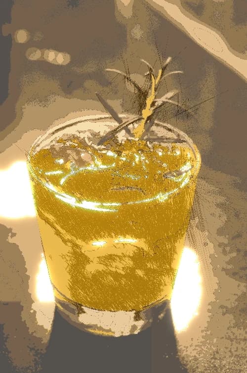 Anime line illustration style (Example 28).