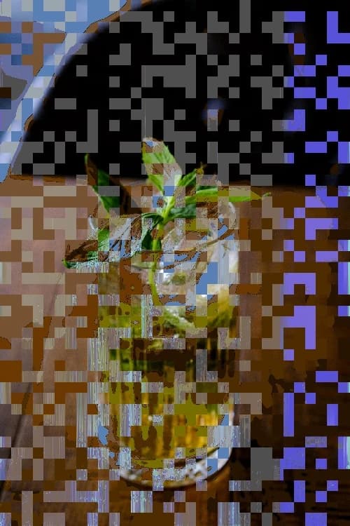 Anime line illustration style (Example 05).