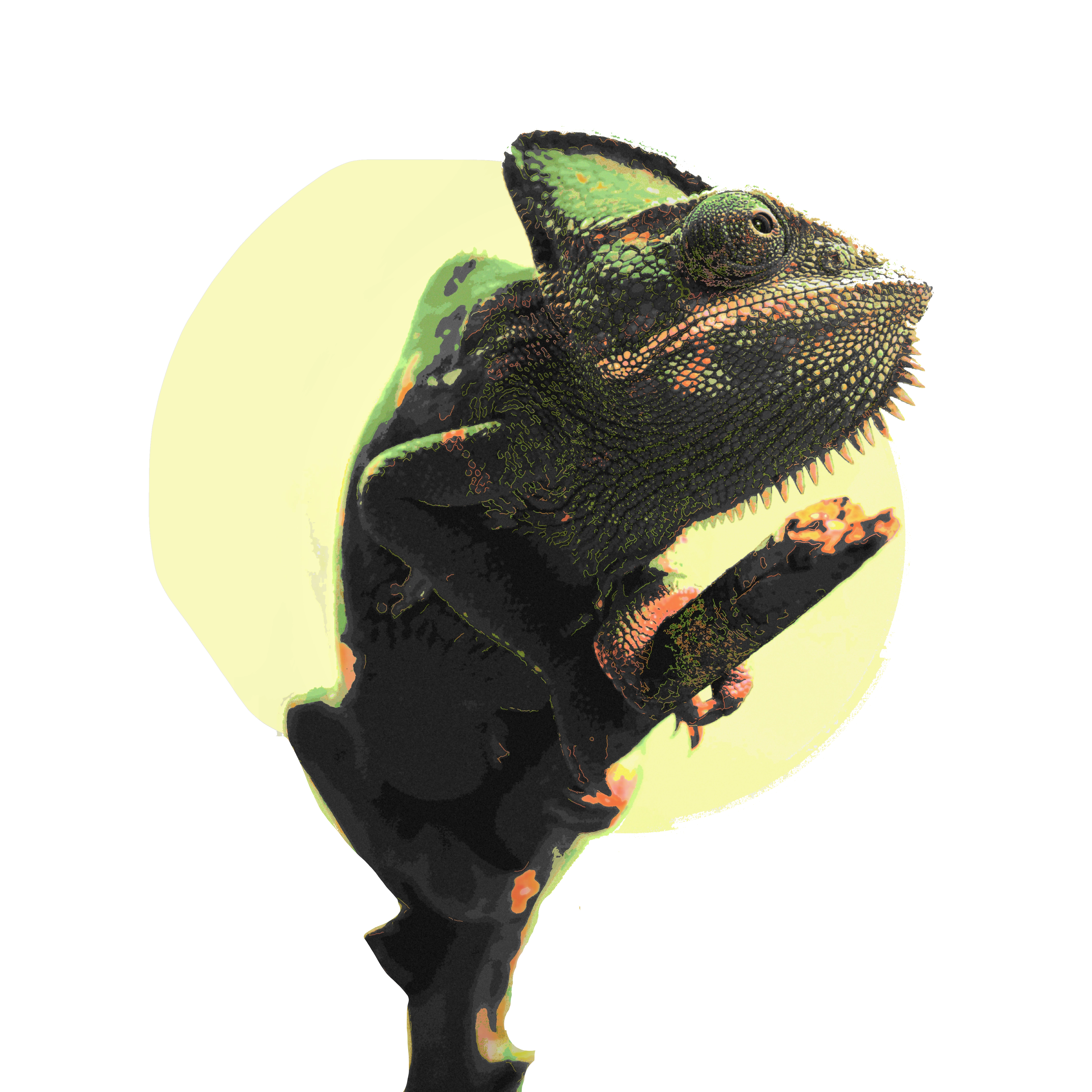 Transparent wildlife cutout for layered compositions and isolated subject previews