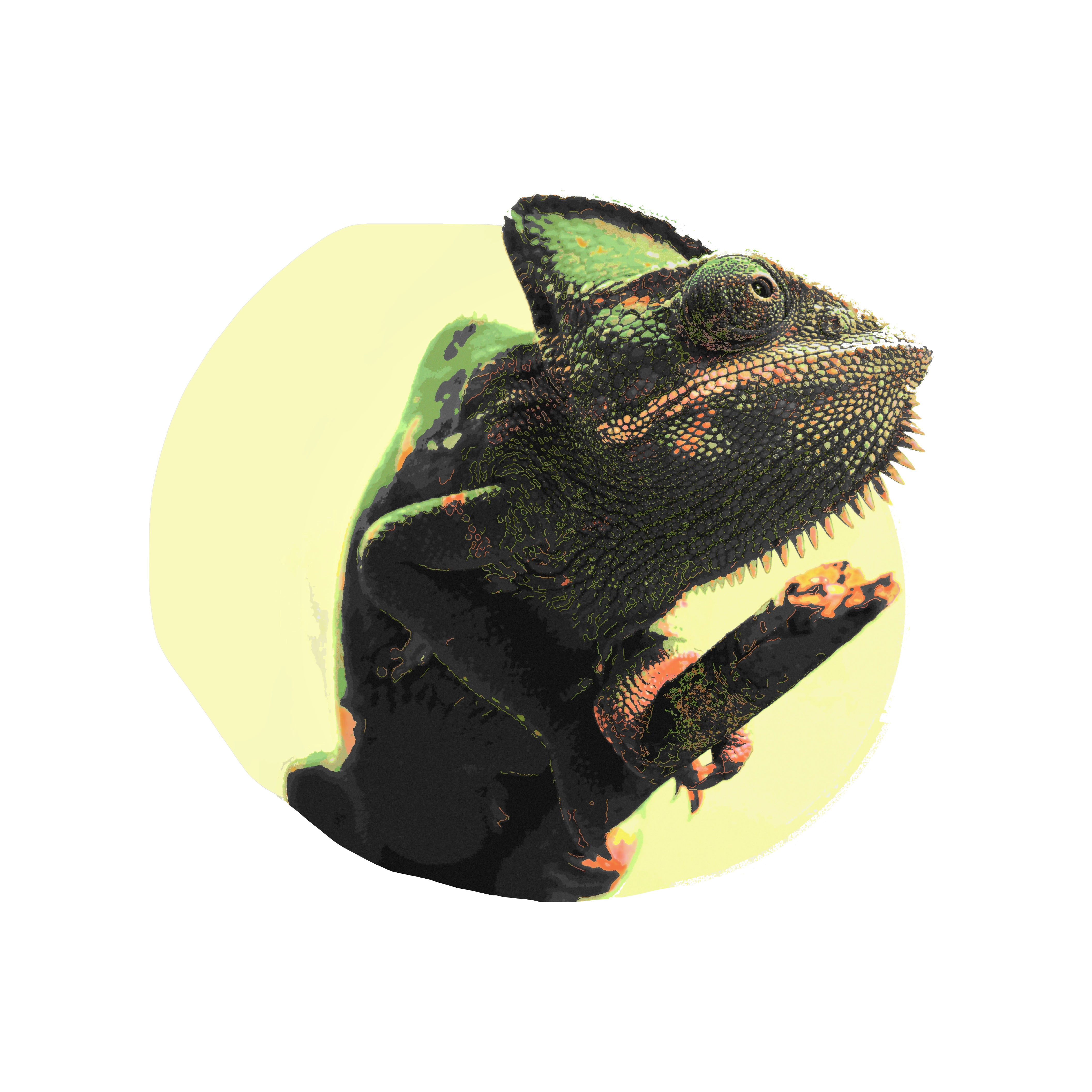 Transparent subject cutout for compositing tests and clean alpha-edge review