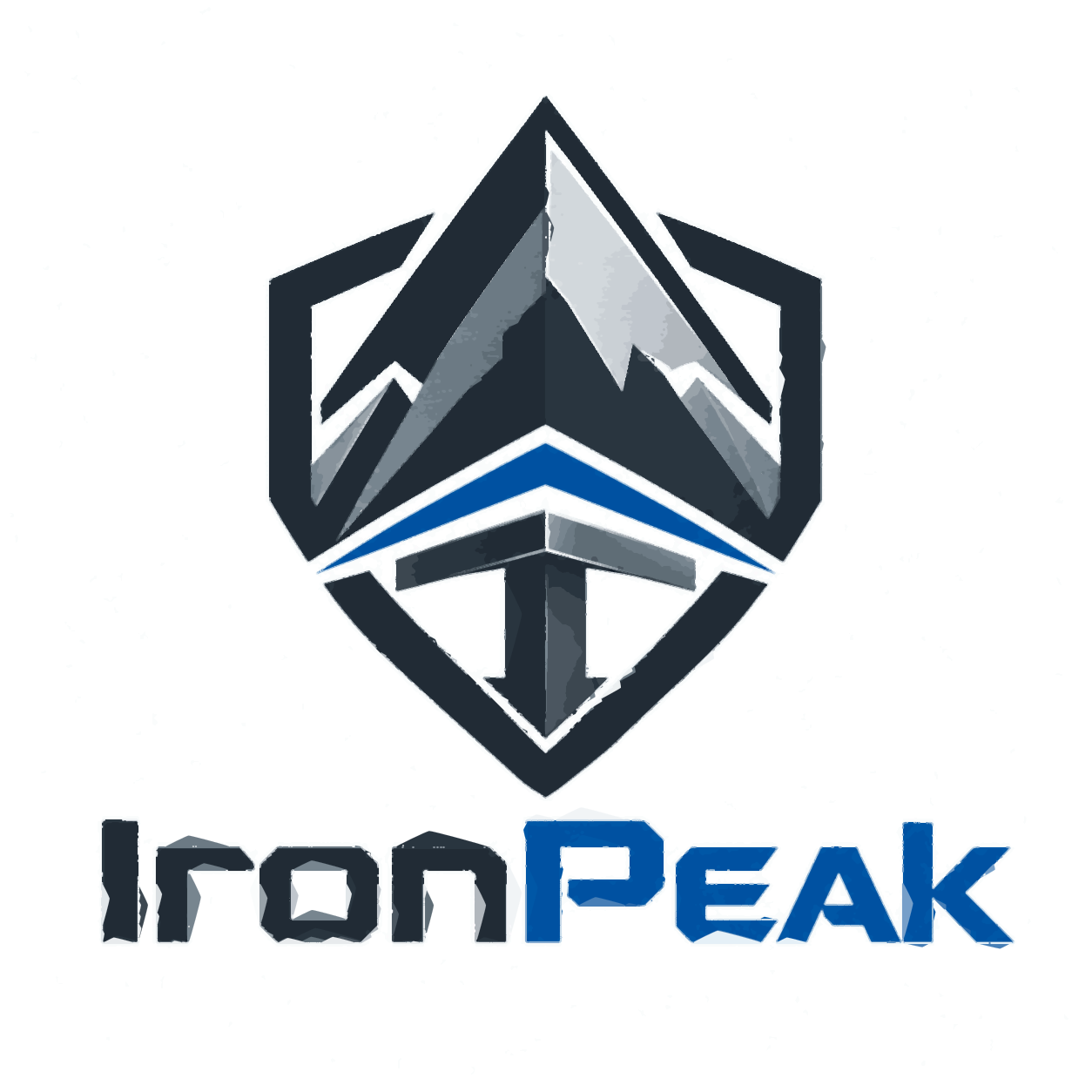 SVG vectorization logo example with clean shape geometry for production workflows.